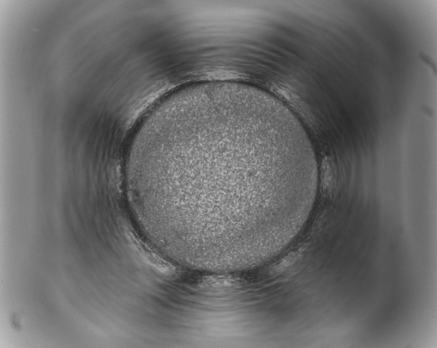 X0000100870351200807071108