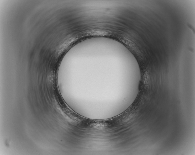 X0000100870352200807071108