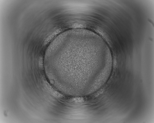 X0000100870353200807071108