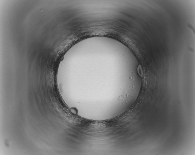 X0000100870354200807071108