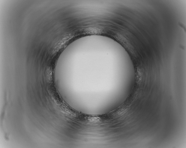 X0000100870355200807071108