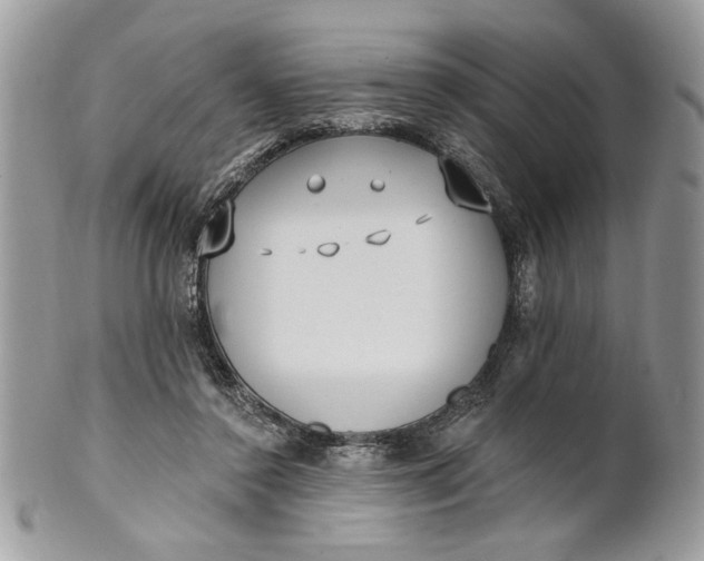 X0000100870356200807071108