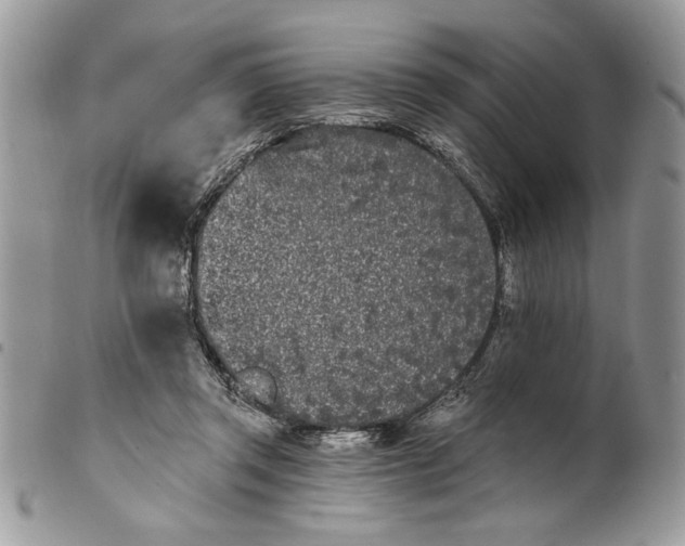 X0000100870357200807071108