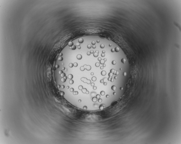 X0000100870360200807071108