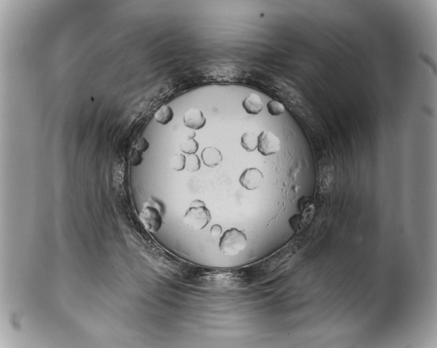 X0000100870365200807071108