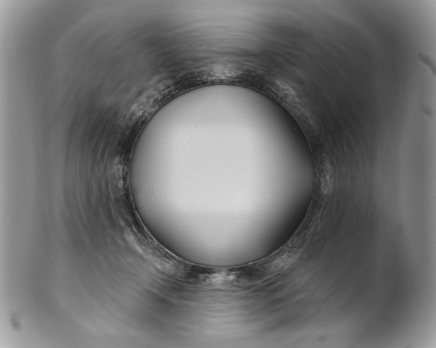 X0000100870366200807071108