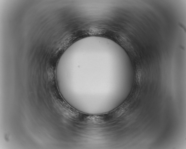 X0000100870367200807071108