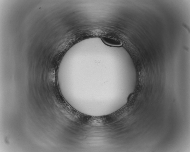 X0000100870368200807071108