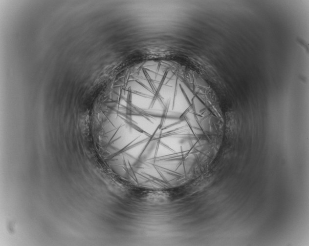 X0000100870369200807071108