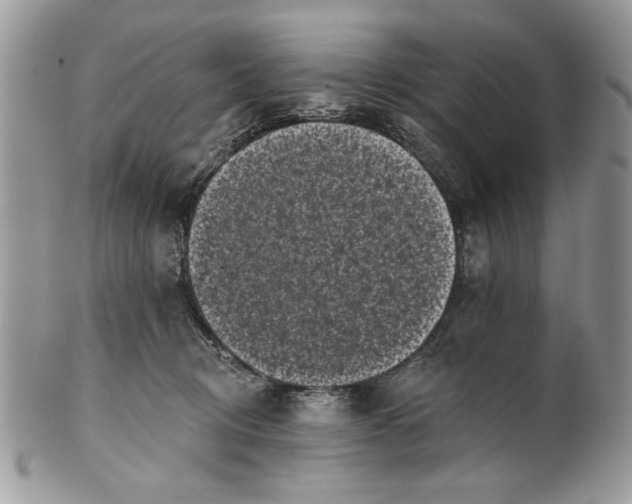 X0000100870370200807071108