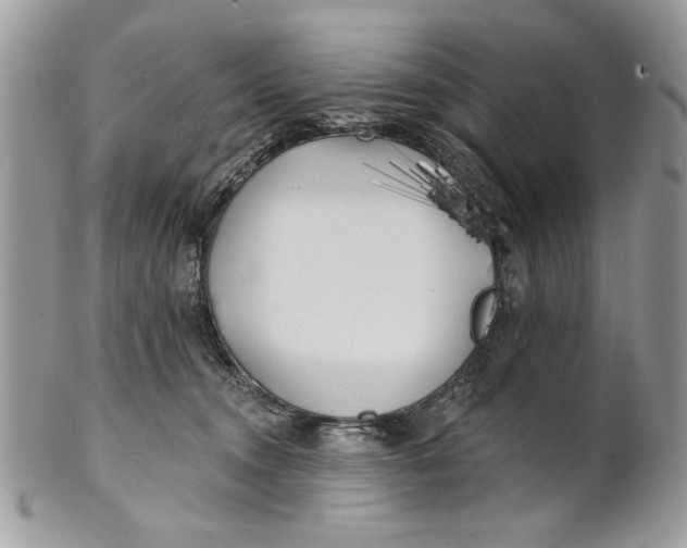 X0000100870372200807071108