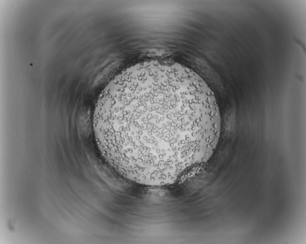 X0000100870376200807071108