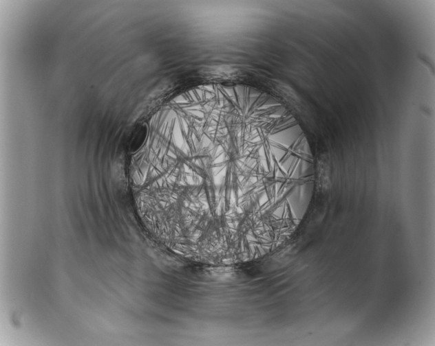 X0000100870377200807071108