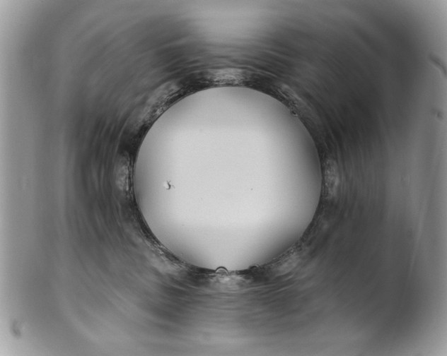 X0000100870379200807071108