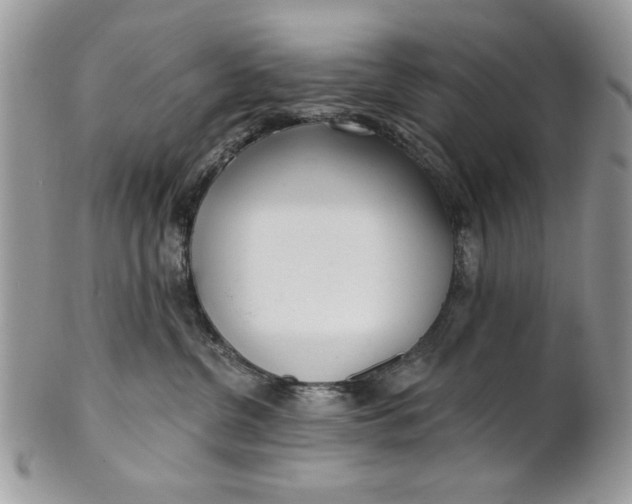 X0000100870380200807071108