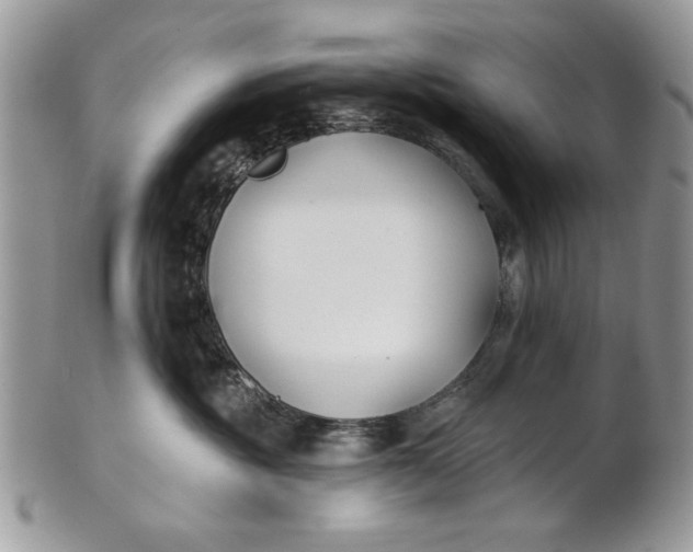 X0000100870381200807071108