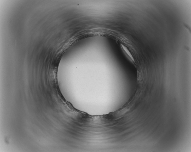 X0000100870382200807071108