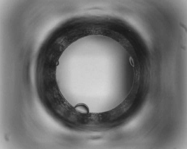 X0000100870383200807071108