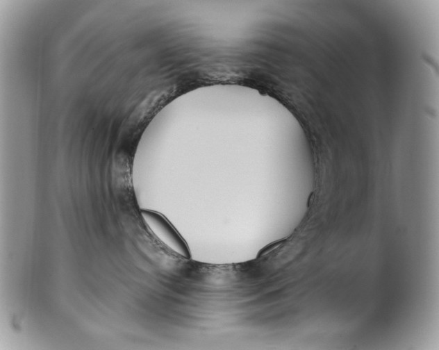 X0000100870384200807071108