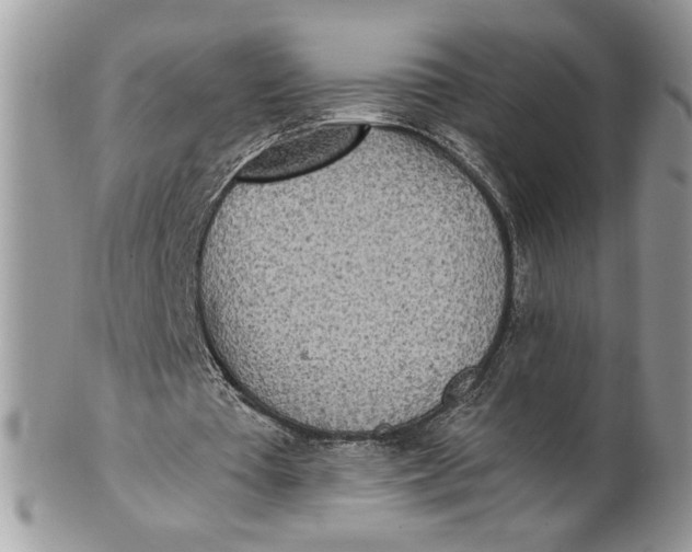 X0000100870385200807071108