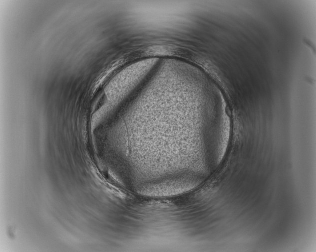 X0000100870386200807071108