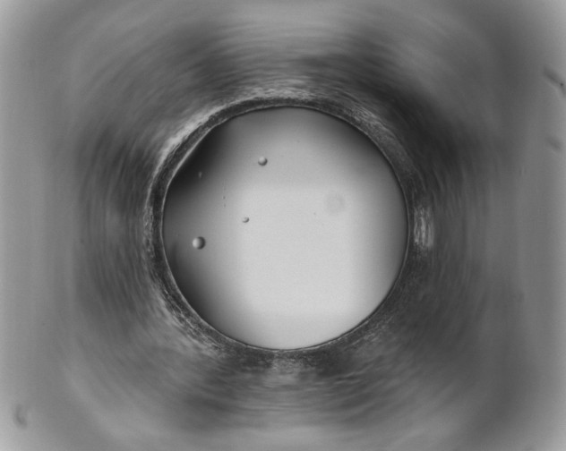 X0000100870388200807071108