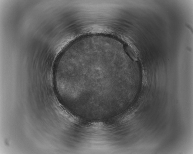 X0000100870391200807071108