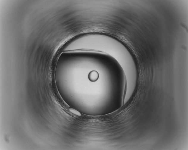 X0000100870392200807071108