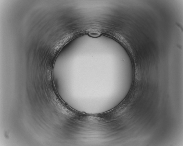 X0000100870393200807071108