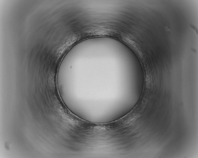 X0000100870394200807071108