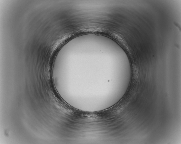 X0000100870395200807071108