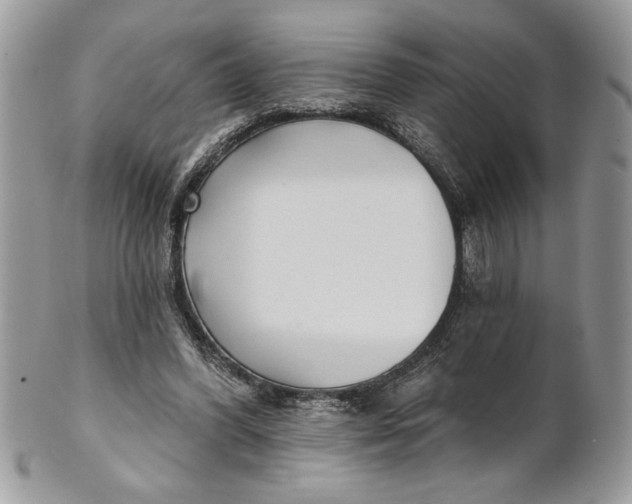 X0000100870396200807071108