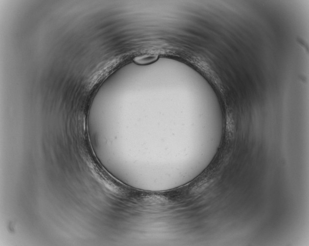 X0000100870397200807071108