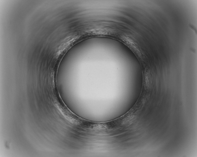 X0000100870398200807071108