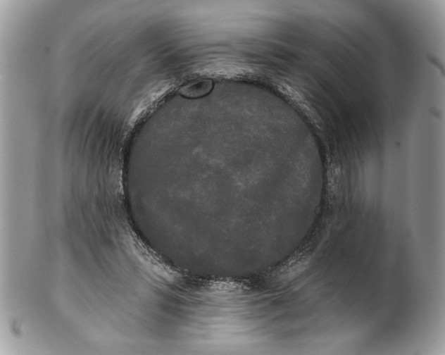 X0000100870399200807071108