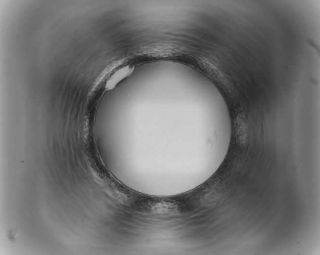 X0000100870400200807071108