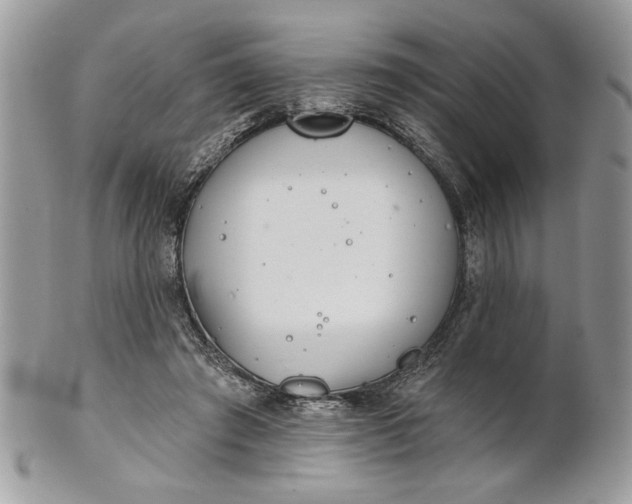 X0000100870401200807071107