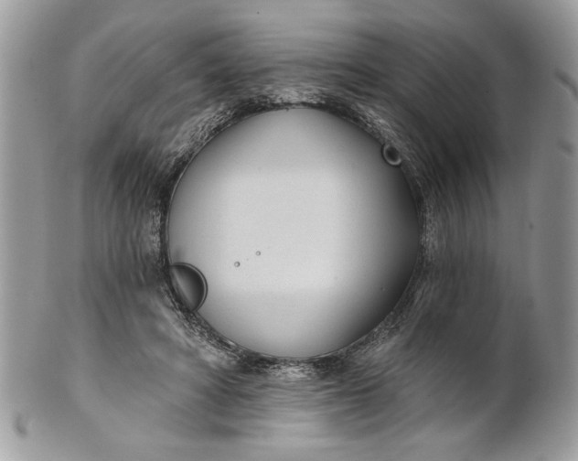 X0000100870402200807071107