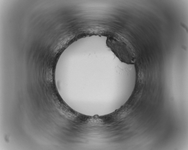 X0000100870403200807071107