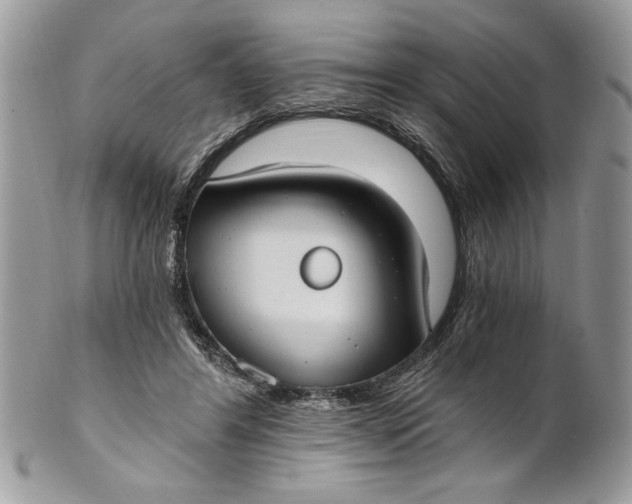 X0000100870404200807071107