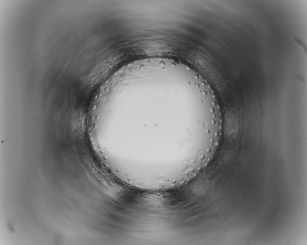 X0000100870405200807071107