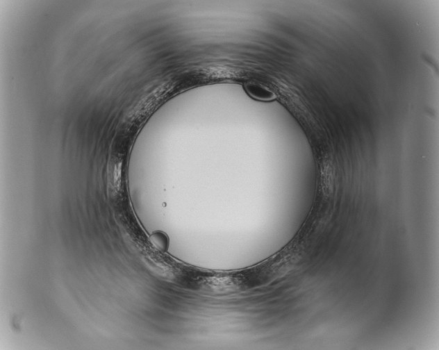 X0000100870406200807071107