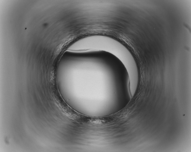 X0000100870407200807071107