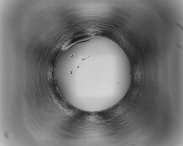 X0000100870408200807071107