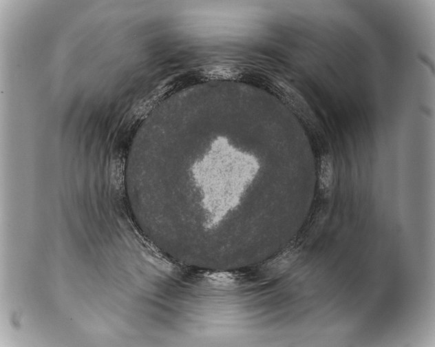 X0000100870409200807071107