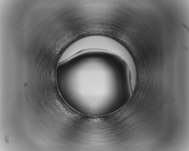 X0000100870411200807071107