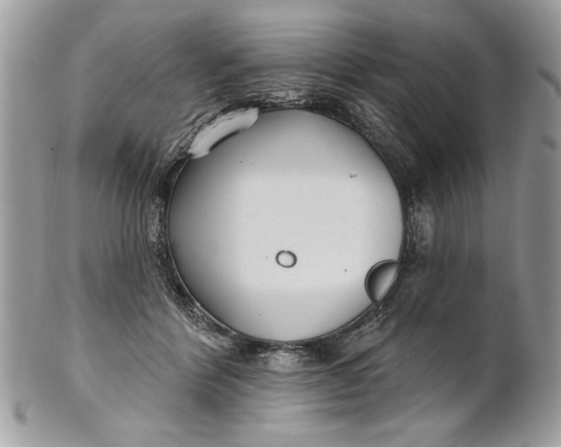 X0000100870412200807071107