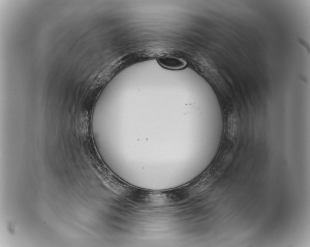 X0000100870413200807071107