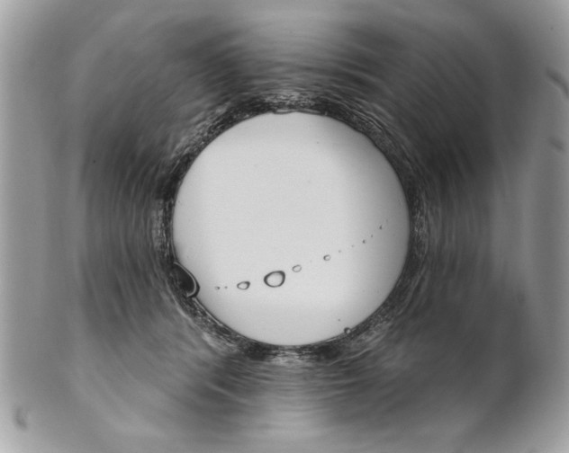 X0000100870416200807071107