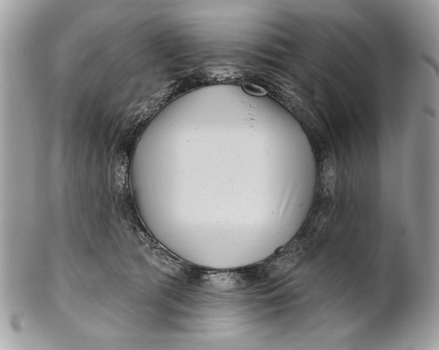 X0000100870417200807071107